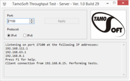 Throughput Test van Tamosoft